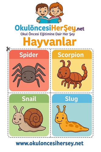 Çocuklar İçin  İngilizce Hayvanlar Flashkart  