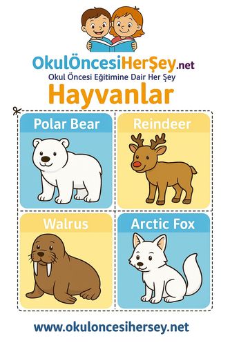 Çocuklar İçin  İngilizce Hayvanlar Flashkart  