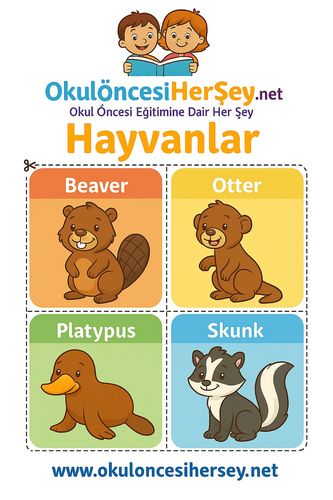 Çocuklar İçin  İngilizce Hayvanlar Flashkart  