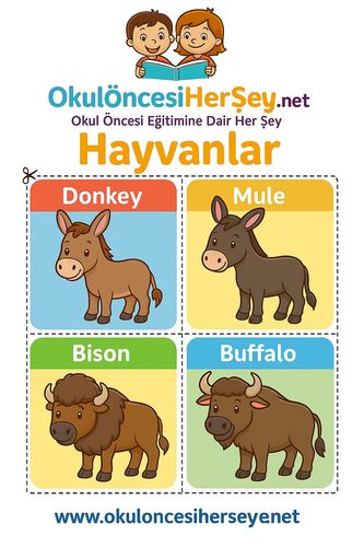 Çocuklar İçin  İngilizce Hayvanlar Flashkart  