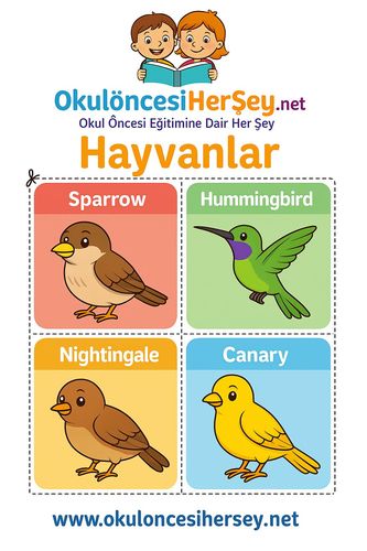 Çocuklar İçin  İngilizce Hayvanlar Flashkart  