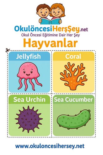 Çocuklar İçin  İngilizce Hayvanlar Flashkart  