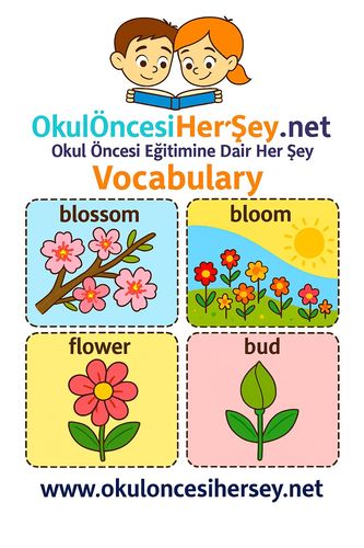 Çocuklar İçin  İngilizce Mevsimler Flashkart  