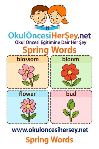 Çocuklar İçin  İngilizce Mevsimler Flashkart  