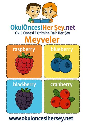 Çocuklar İçin  İngilizce Meyveler Flashkart  