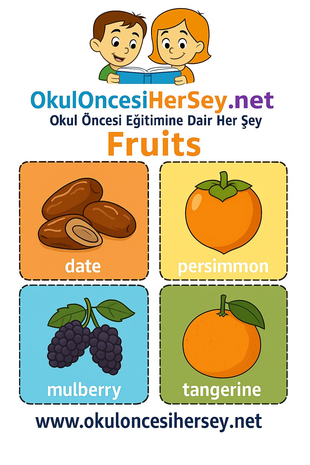 İngilizce Meyveler Flashkart