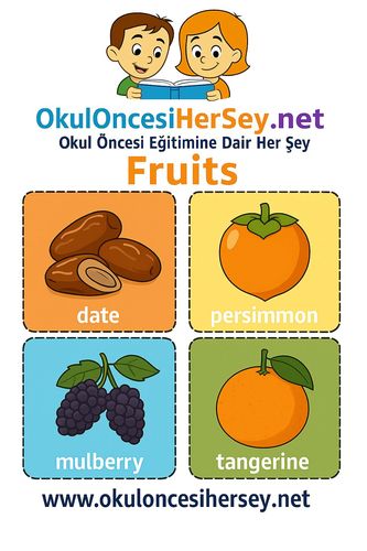 Çocuklar İçin  İngilizce Meyveler Flashkart  