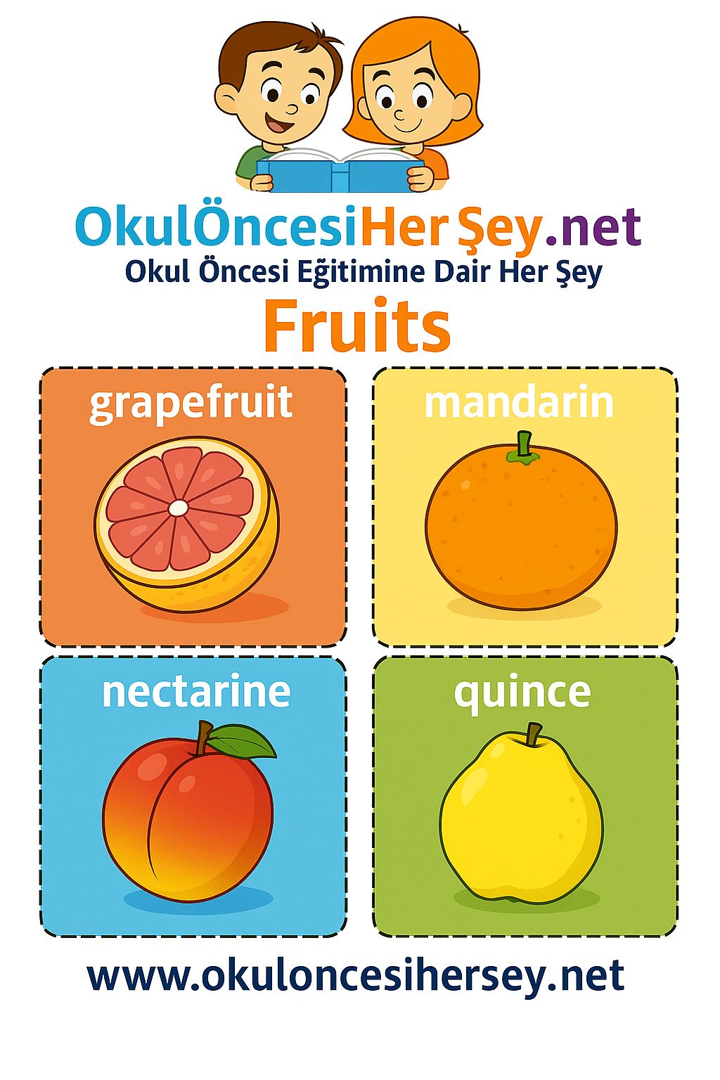 İngilizce Meyveler Flashkart