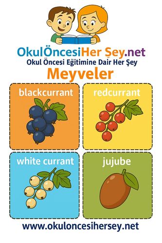 Çocuklar İçin  İngilizce Meyveler Flashkart  