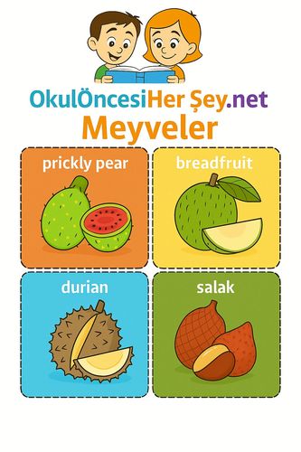 Çocuklar İçin  İngilizce Meyveler Flashkart  