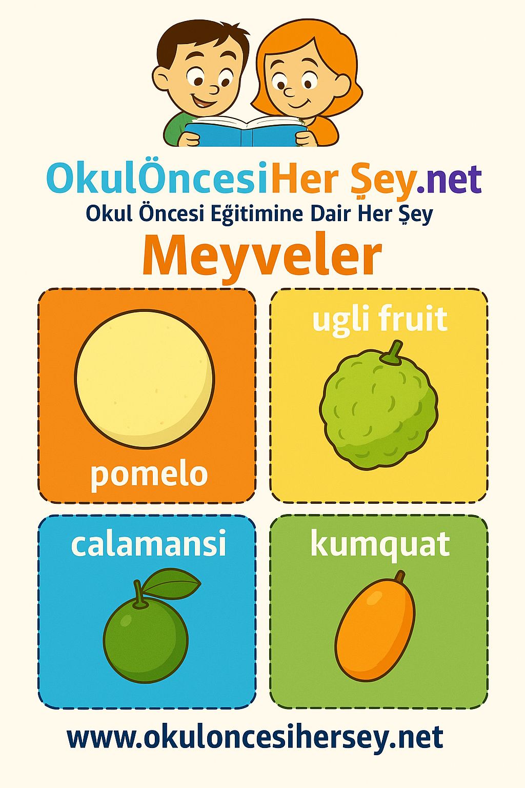 İngilizce Meyveler Flashkart