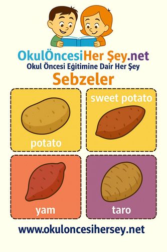 Çocuklar İçin  İngilizce Sebzeler Flashkart  