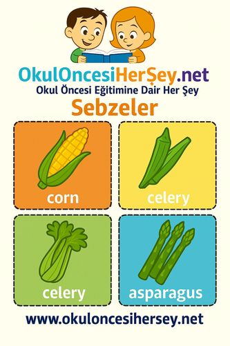 Çocuklar İçin  İngilizce Sebzeler Flashkart  