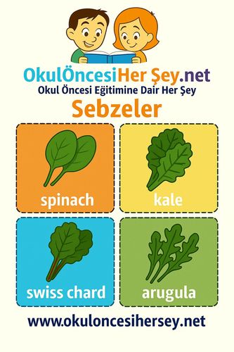Çocuklar İçin  İngilizce Sebzeler Flashkart  