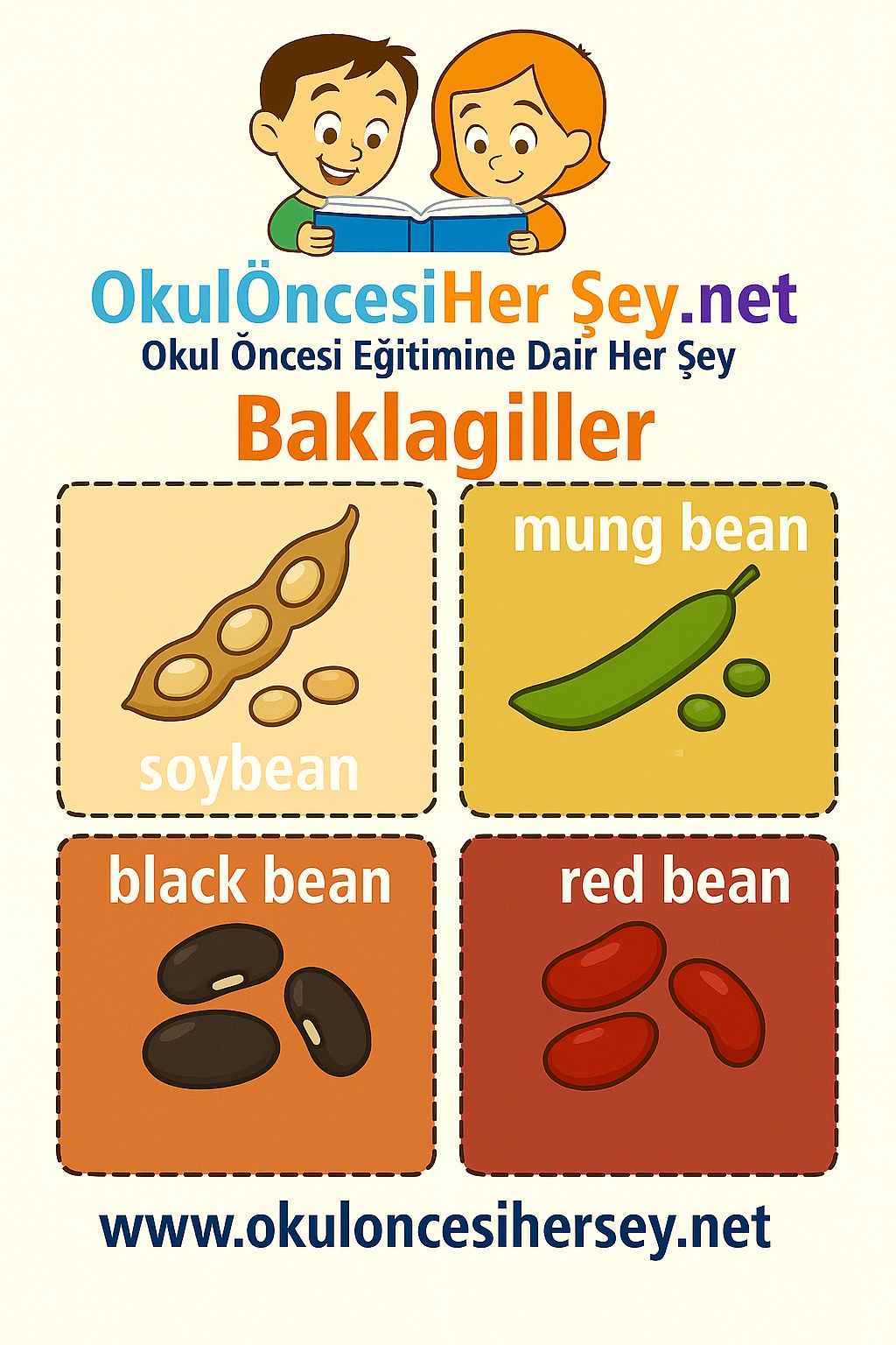 İngilizce Sebzeler Flashkart