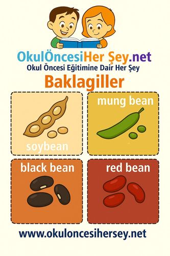 Çocuklar İçin  İngilizce Sebzeler Flashkart  