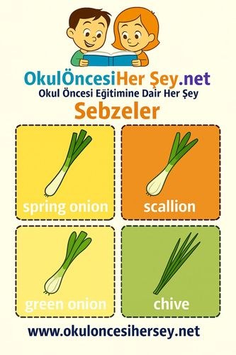 Çocuklar İçin  İngilizce Sebzeler Flashkart  