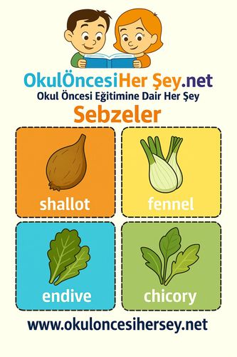 Çocuklar İçin  İngilizce Sebzeler Flashkart  
