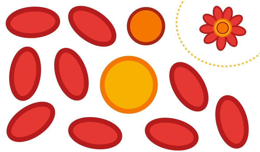 Kes Yapıştır Çalışmaları