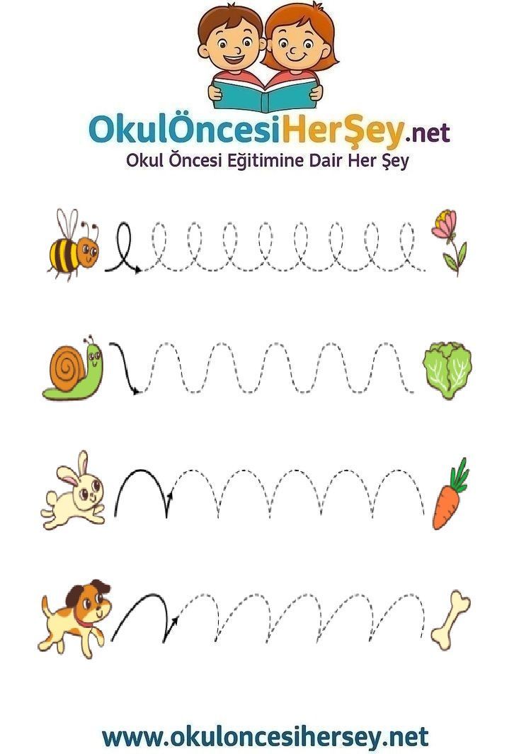 Çizgi Çalışmaları