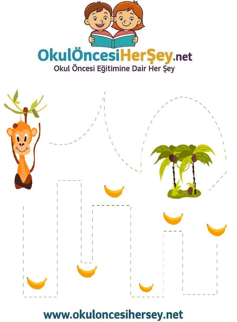 Çizgi Çalışmaları