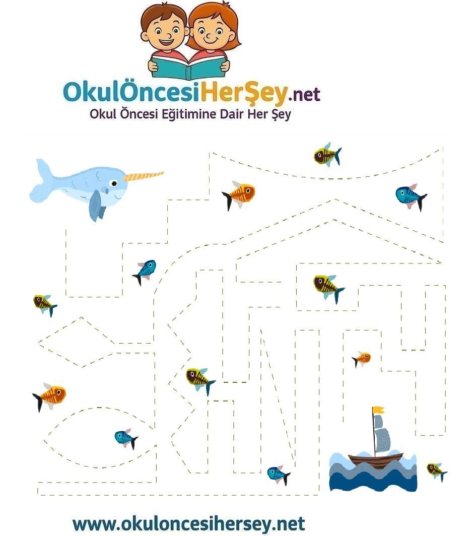 Çizgi Çalışmaları