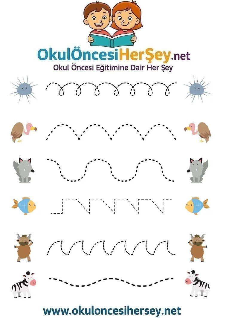 Çizgi Çalışmaları