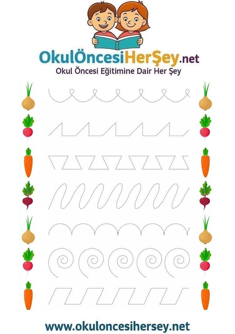 Çizgi Çalışmaları