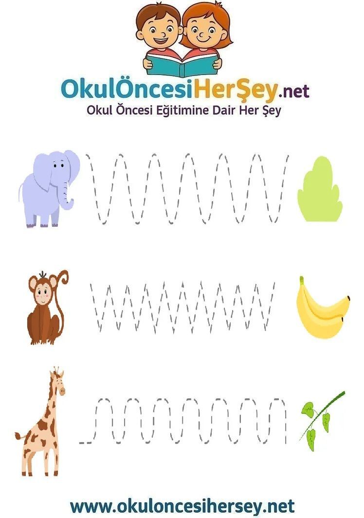 Çizgi Çalışmaları