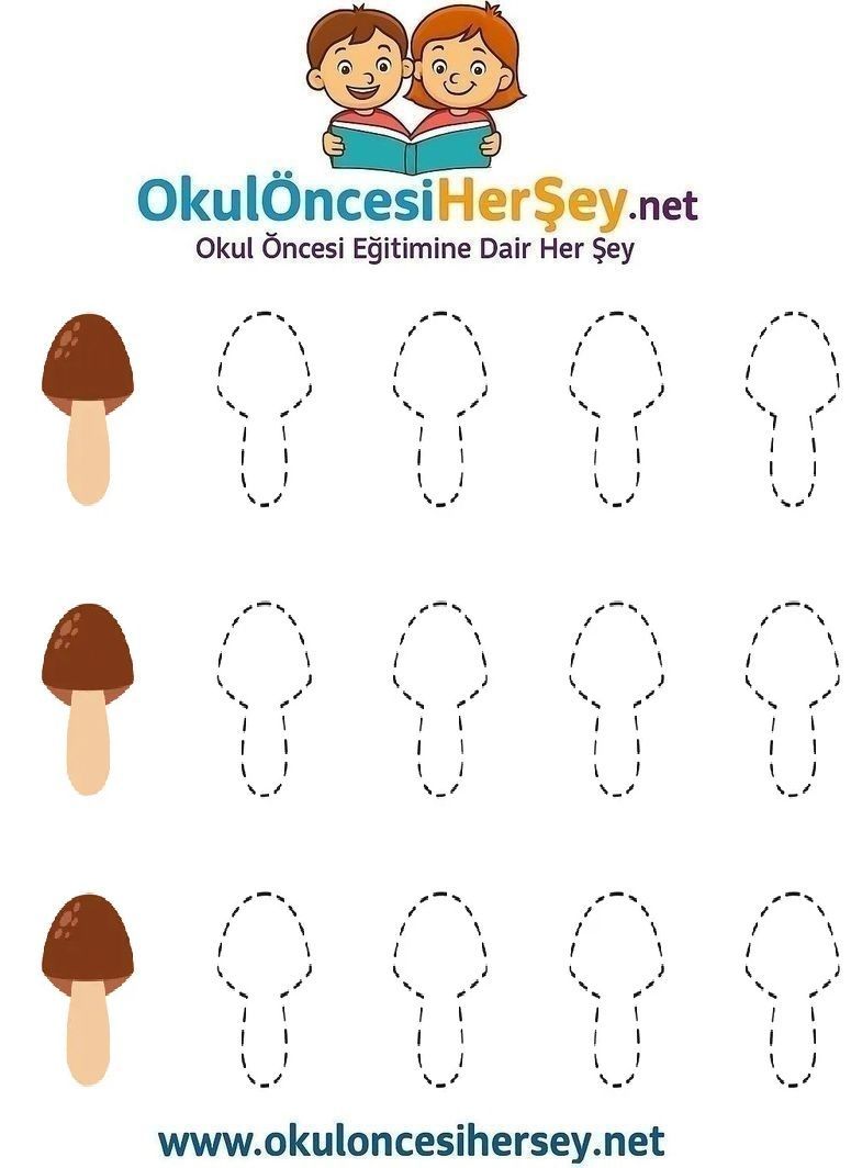 Çizgi Çalışmaları