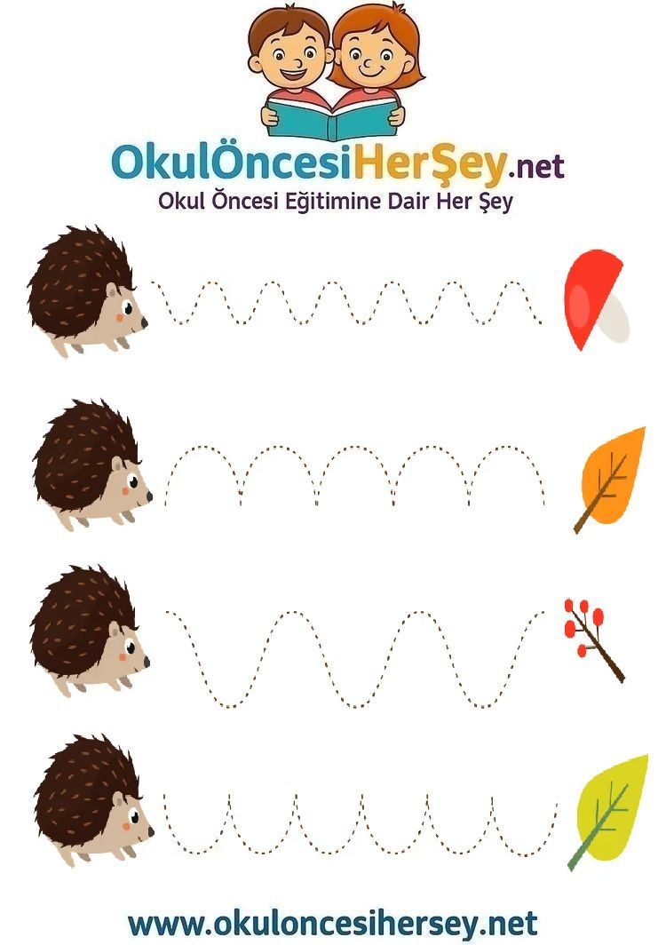 Çizgi Çalışmaları