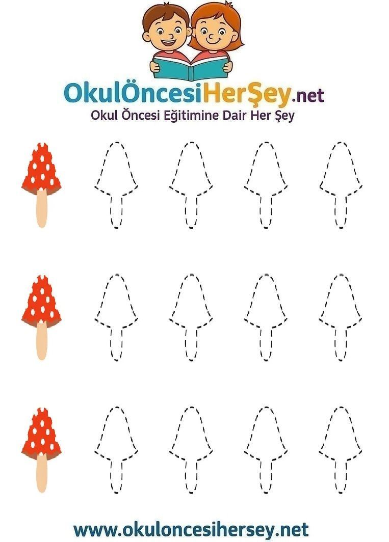 Çizgi Çalışmaları