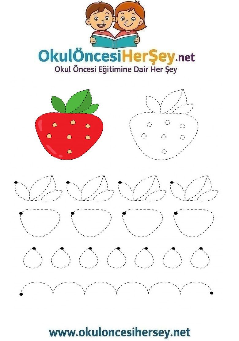 Çizgi Çalışmaları