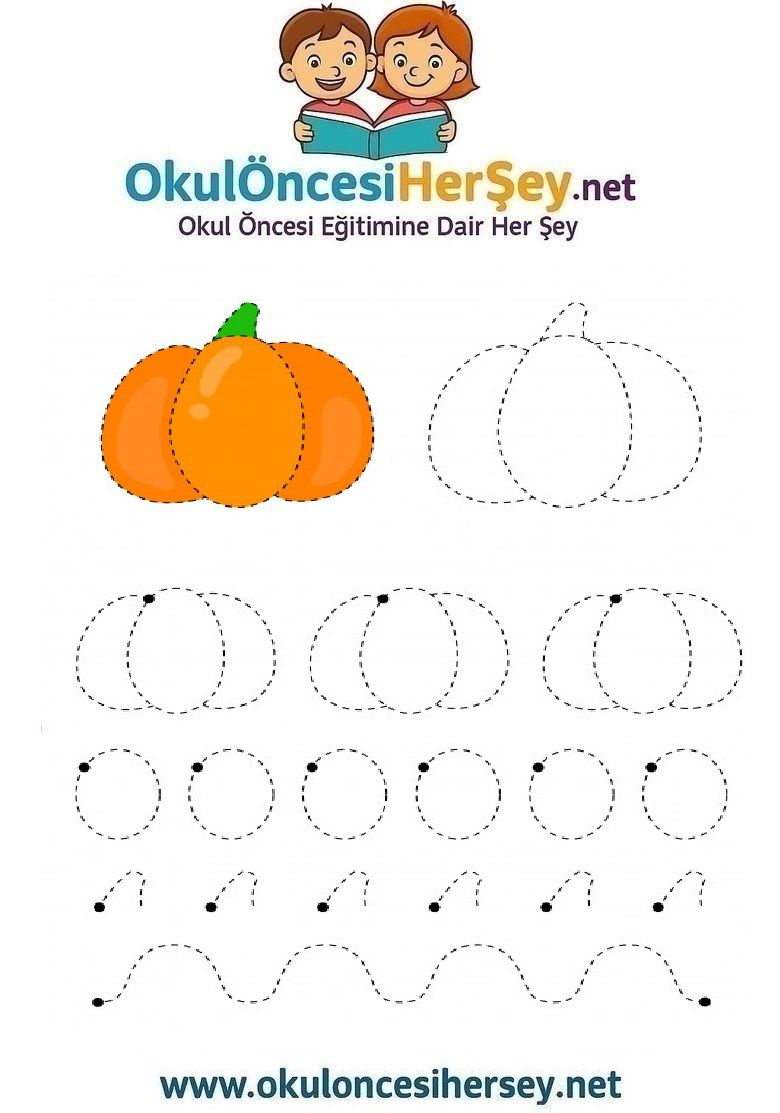 Çizgi Çalışmaları