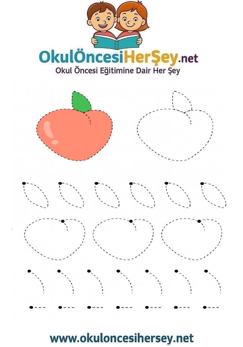 Çizgi Çalışmaları