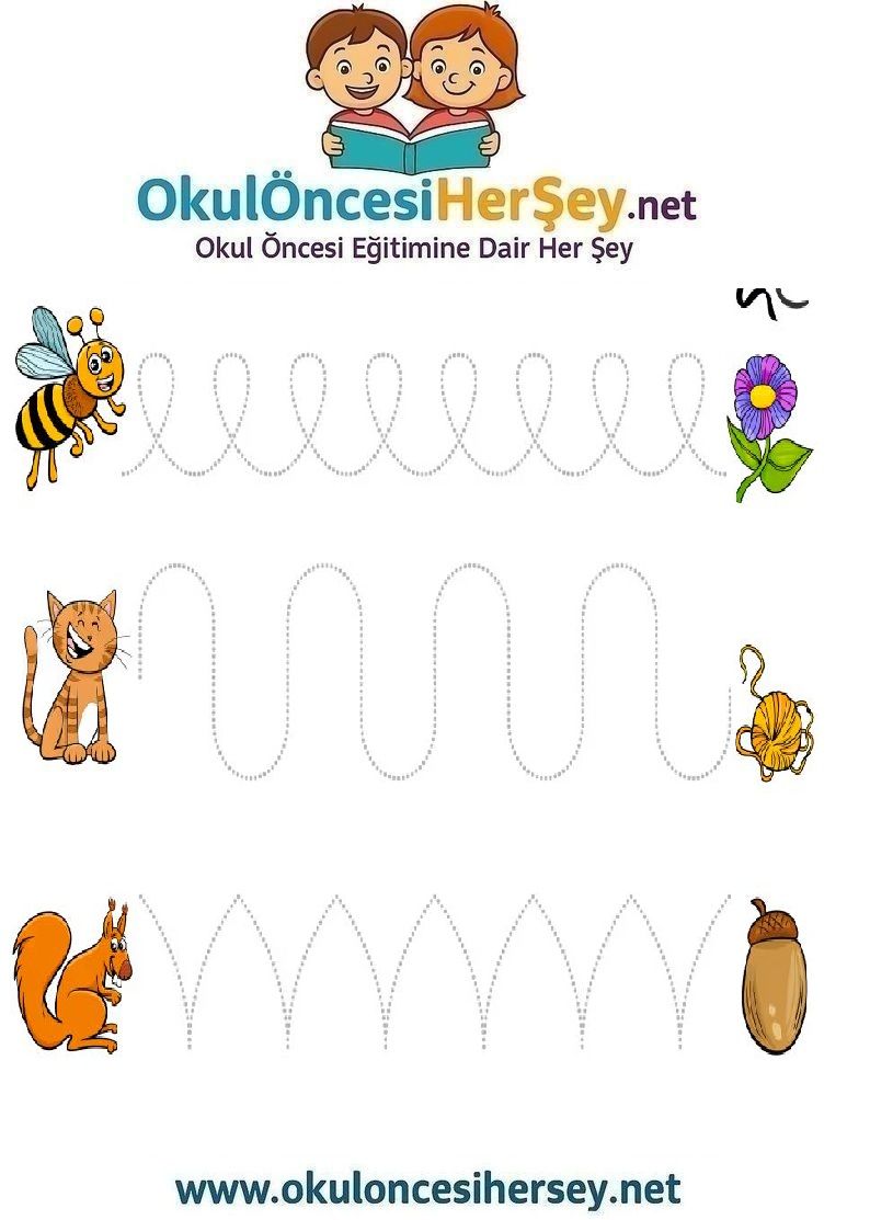 Çizgi Çalışmaları