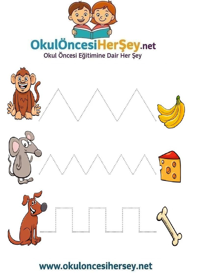 Çizgi Çalışmaları