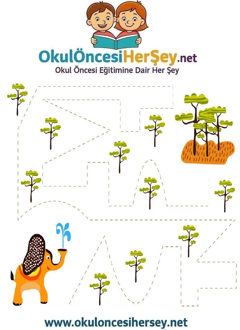 Çizgi Çalışmaları