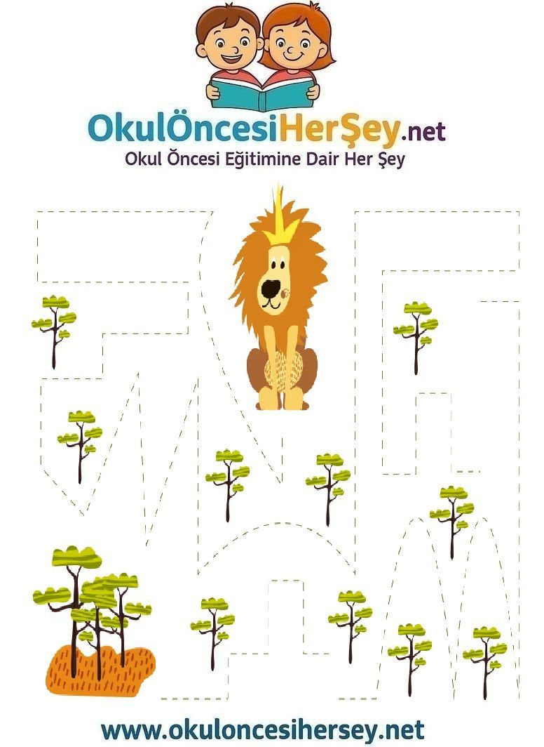 Çizgi Çalışmaları