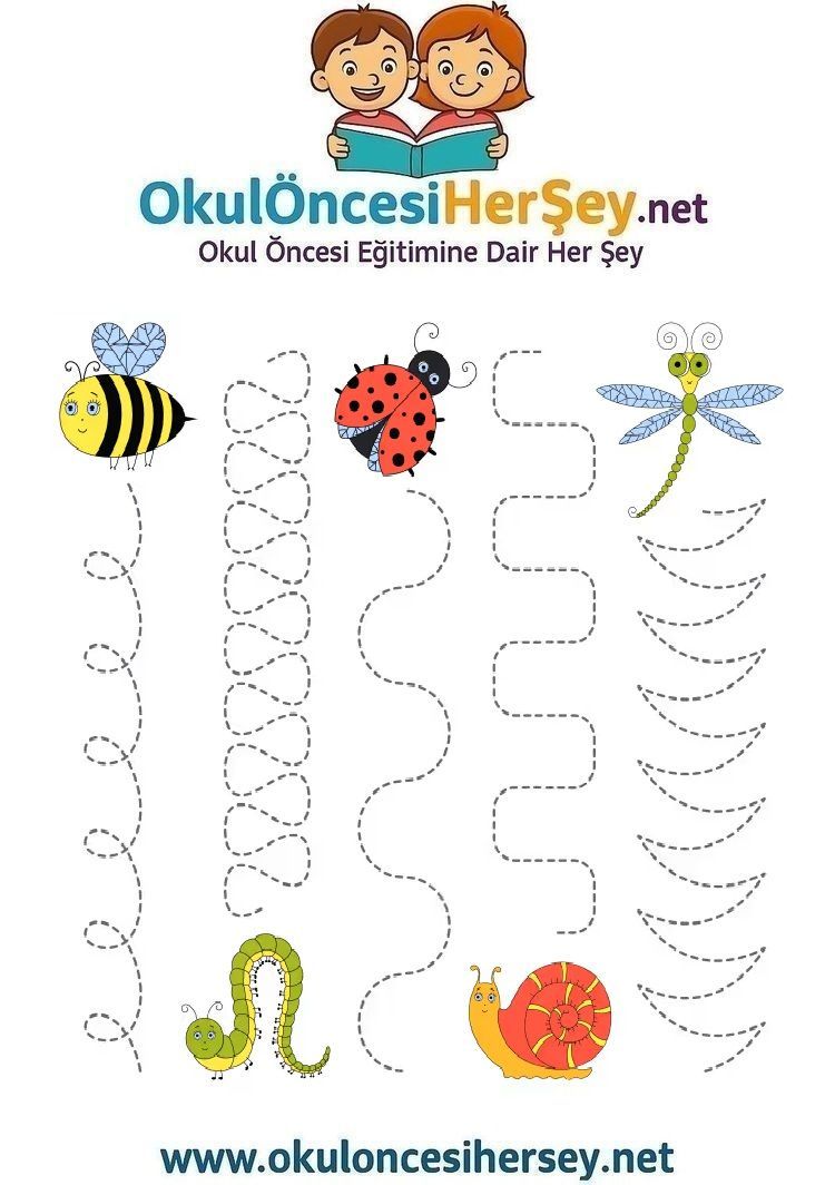 Çizgi Çalışmaları