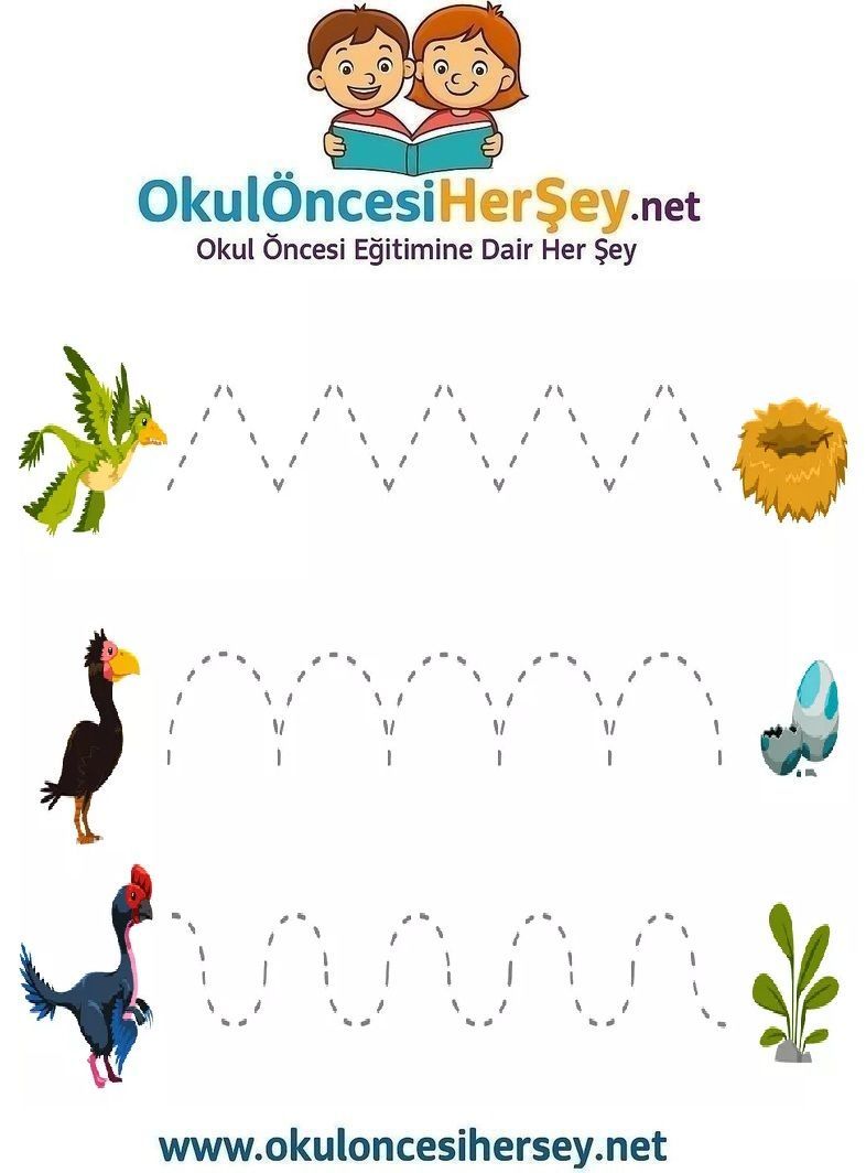 Çizgi Çalışmaları