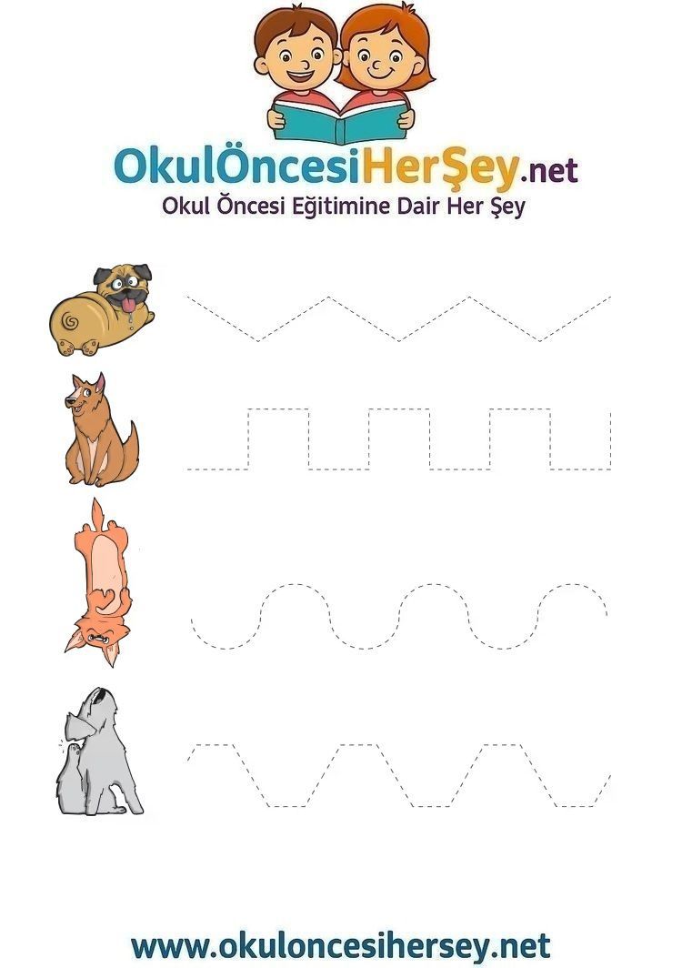 Çizgi Çalışmaları