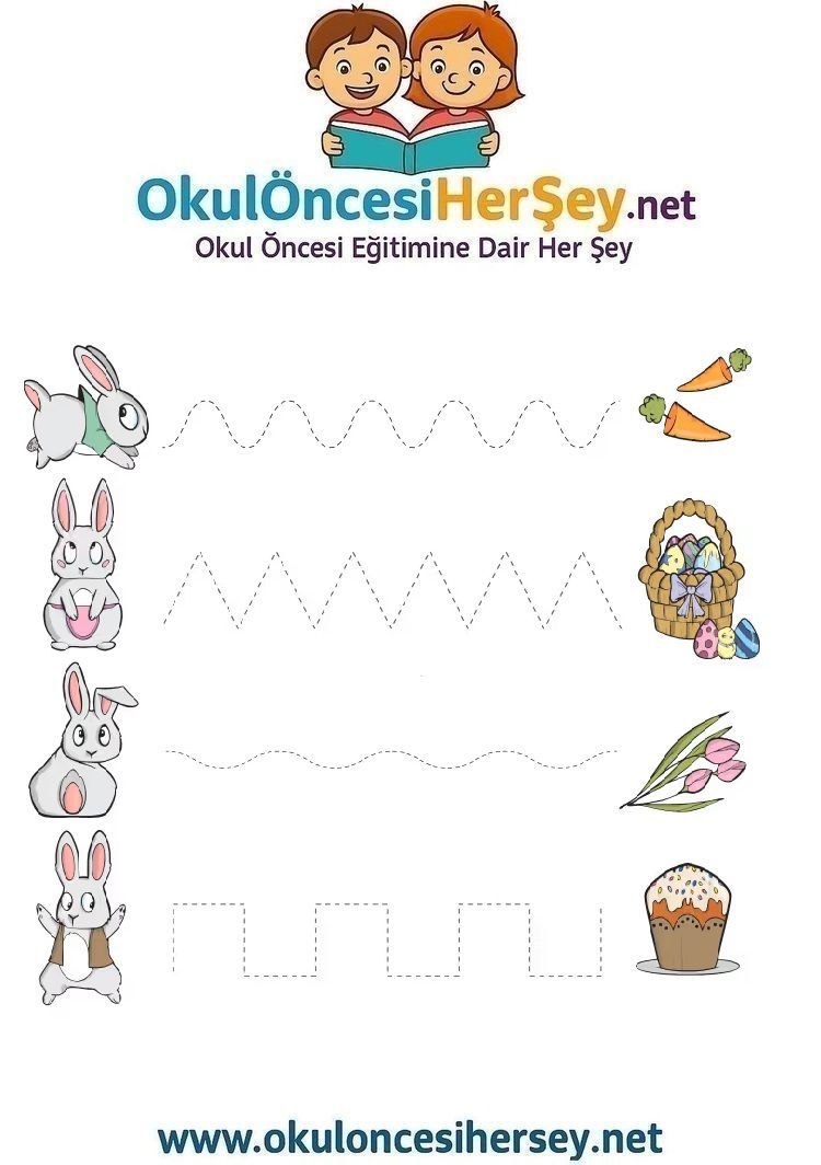 Çizgi Çalışmaları