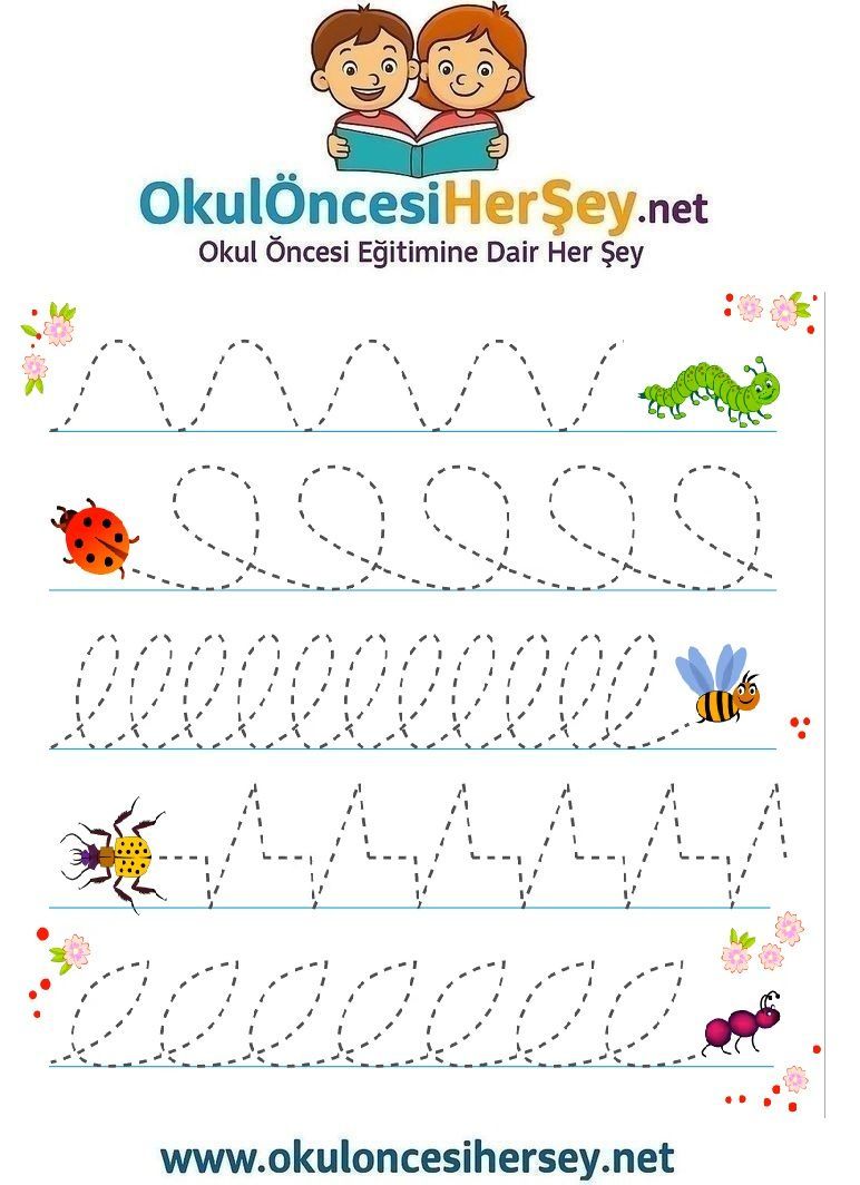 Çizgi Çalışmaları