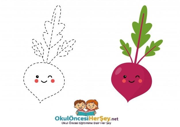 Çizgi Çalışmaları