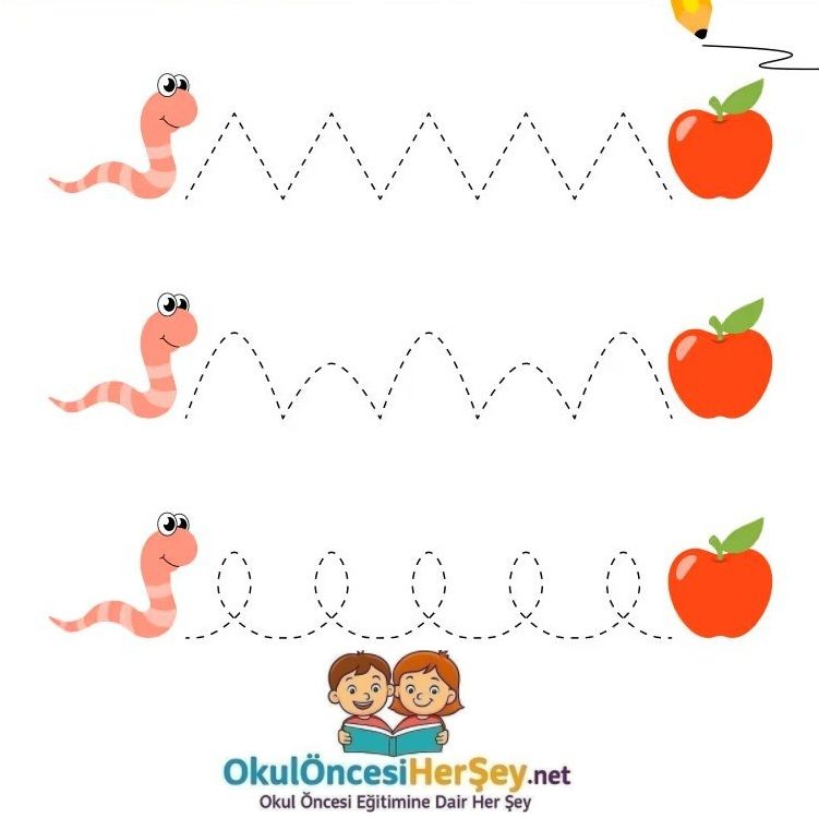 Çizgi Çalışmaları