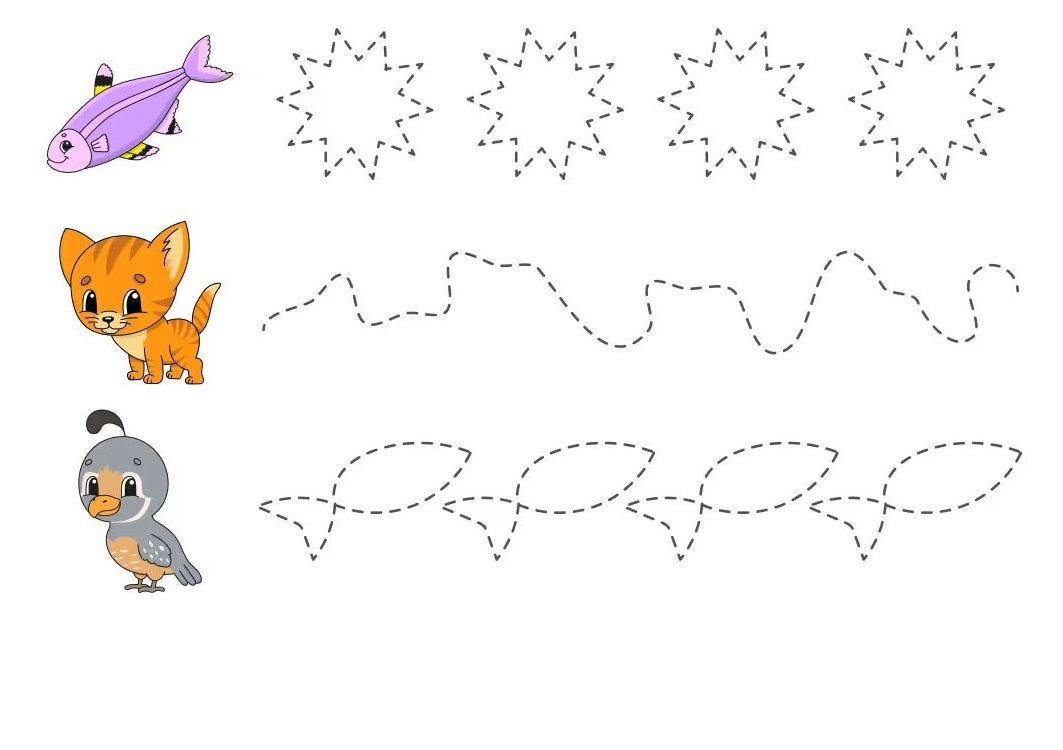 Çizgi Çalışmaları