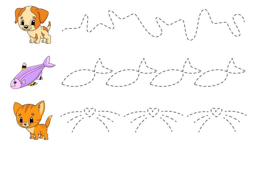 Çizgi Çalışmaları