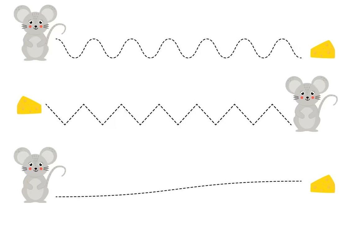Çizgi Çalışmaları