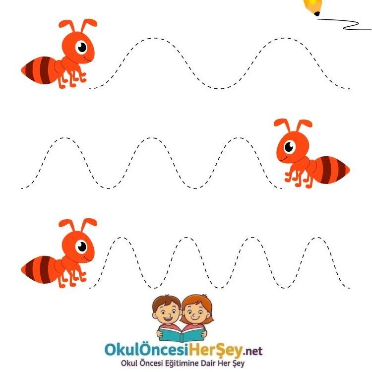 Çizgi Çalışmaları